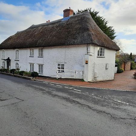 The White Cottage Colyton Екстериор снимка